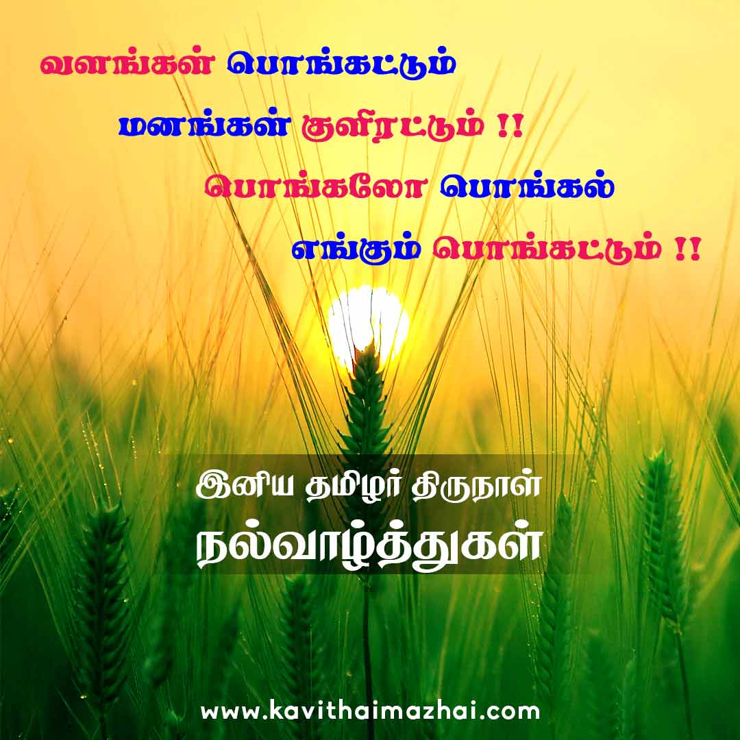 Pongal Wishes in Tamil