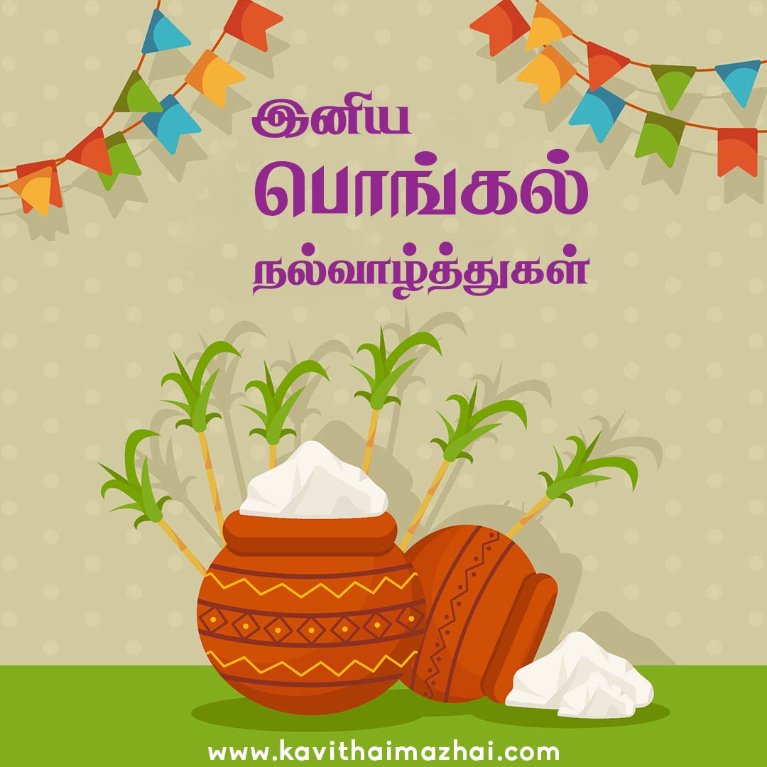 Pongal Wishes in Tamil