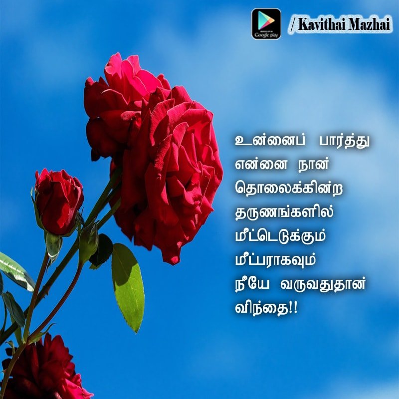 Rose Flower Kavithai In Tamil 